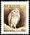 Burrowing Owl Athene cunicularia  1981 Birds 