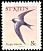 Caribbean Martin Progne dominicensis  1981 Birds 