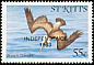 Brown Pelican Pelecanus occidentalis  1983 Overprint INDEPENDENCE 1983 on 1981.01 