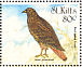 Red-tailed Hawk Buteo jamaicensis  1999 IBRA 99 Sheet