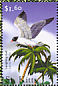Laughing Gull Leucophaeus atricilla  2001 Flora and fauna of the Caribbean Sheet