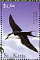 Sooty Tern Onychoprion fuscatus  2001 Flora and fauna of the Caribbean Sheet
