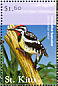 Yellow-bellied Sapsucker Sphyrapicus varius  2001 Flora and fauna of the Caribbean Sheet