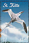 Red-billed Tropicbird Phaethon aethereus  2001 Caribbean fauna and flora Sheet