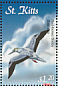 Red-footed Booby Sula sula  2001 Caribbean fauna and flora Sheet