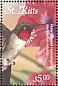 Ruby-throated Hummingbird Archilochus colubris