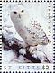 Snowy Owl Bubo scandiacus  2010 Arctic animals 6v sheet