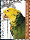 Yellow-headed Amazon Amazona oratrix  2012 Caribbean parrots Sheet