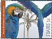 Blue-and-yellow Macaw Ara ararauna  2012 Caribbean parrots  MS