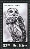 Barred Owl Strix varia  2015 Owls Sheet