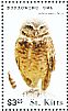 Burrowing Owl Athene cunicularia  2015 Owls Sheet