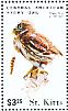 Central American Pygmy Owl Glaucidium griseiceps  2015 Owls Sheet