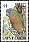 St. Lucia Amazon Amazona versicolor