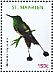 Racket-tailed Coquette Discosura longicaudus  2012 Birds 