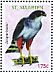 Bicolored Hawk Accipiter bicolor  2012 Birds 