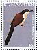 Dark-billed Cuckoo Coccyzus melacoryphus  2014 Birds Sheet