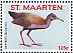 Slaty-breasted Wood Rail Aramides saracura  2016 Birds Sheet