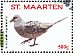 Scaled Dove Columbina squammata  2016 Birds I  MS