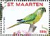 Maroon-bellied Parakeet Pyrrhura frontalis  2016 Birds I  MS MS