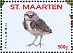 Burrowing Owl Athene cunicularia  2016 Birds II  MS MS MS