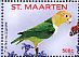 White-bellied Parrot Pionites leucogaster  2016 Parrots III  MS MS