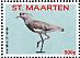Southern Lapwing Vanellus chilensis  2017 Birds Sheet
