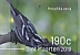 Black-and-white Warbler Mniotilta varia  2019 Biirds of Sint Maarten Sheet, sa