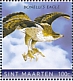 Bonelli's Eagle Aquila fasciata  2020 Birds of prey 