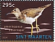 St Maarten 2024 Birds Sheet