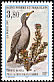 Great Cormorant Phalacrocorax carbo  1997 Birds 