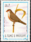 Common Waxbill Estrilda astrild  1983 Birds 