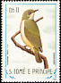 Principe White-eye Zosterops ficedulinus  1983 Birds 