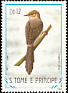 Sao Tome Prinia Prinia molleri