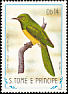 African Emerald Cuckoo Chrysococcyx cupreus