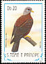 Sao Tome Olive Pigeon Columba thomensis