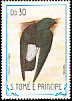 Sao Tome Spinetail Zoonavena thomensis  1983 Birds 