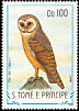 Western Barn Owl Tyto alba