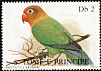 Fischer's Lovebird Agapornis fischeri  1987 Parrots 