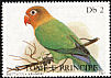 Fischer's Lovebird Agapornis fischeri