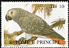 Grey Parrot Psittacus erithacus  1987 Parrots 