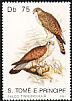 Common Kestrel Falco tinnunculus  1991 Birds 