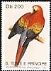 Scarlet Macaw Ara macao  1991 Birds 