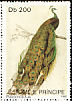 Indian Peafowl Pavo cristatus  1992 Birds 