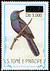 Chestnut-winged Starling Onychognathus fulgidus