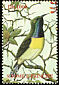 Newton's Sunbird Anabathmis newtonii  2002 Birds 