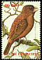 Sao Tome Grosbeak Crithagra concolor  2002 Birds 
