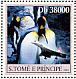 Emperor Penguin Aptenodytes forsteri