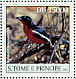 Crimson-breasted Shrike Laniarius atrococcineus  2003 Birds Sheet