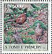 Common Pheasant Phasianus colchicus  2003 Pheasant Sheet