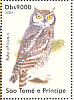 Spotted Eagle-Owl  Bubo africanus